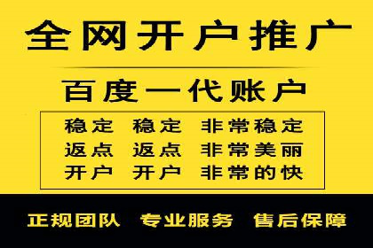 百度竞价排名案例分析：提升网站流量与转化率